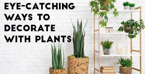 White-Wall-Decorate-Plants